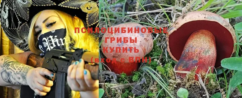 купить закладку  blacksprut зеркало  Галлюциногенные грибы MAGIC MUSHROOMS  Козельск 